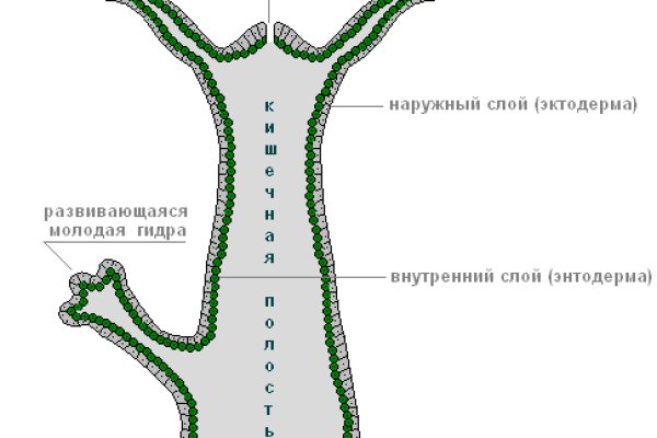 Кракен адрес сайта