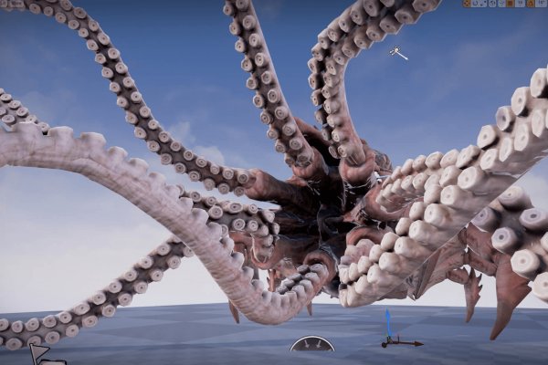 Kraken 5 at