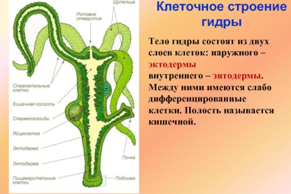 Ошибка на сервере кракен