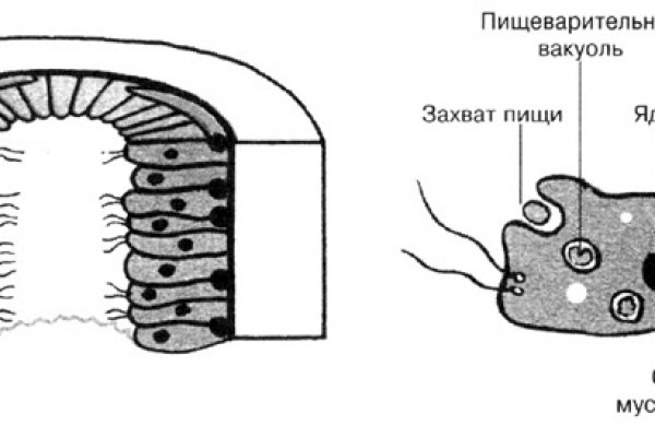 Кракен не работает