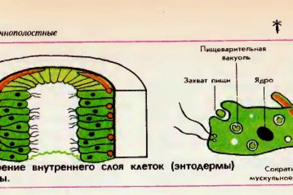 Кракен даркнет плейс